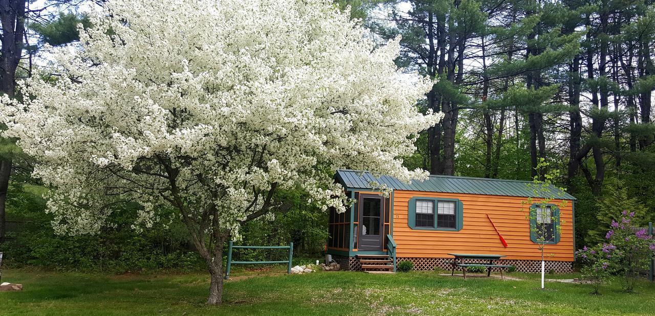 Silver Lake Park Campground & Cabins Hotel Belmont Exterior foto